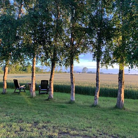 Stunning Romantic Cabin Close To Baltic See Idestrup Eksteriør bilde