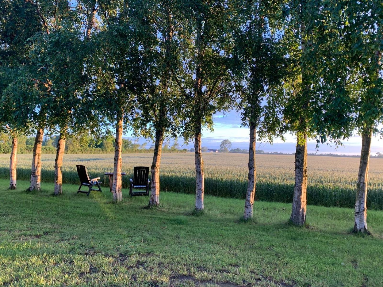 Stunning Romantic Cabin Close To Baltic See Idestrup Eksteriør bilde